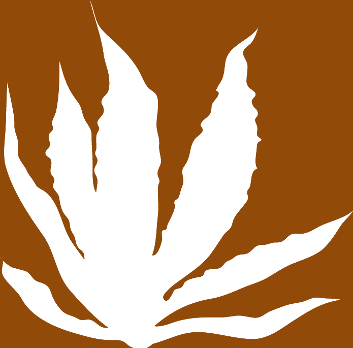 Agave illustration