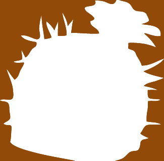 Barrel cactus illustration