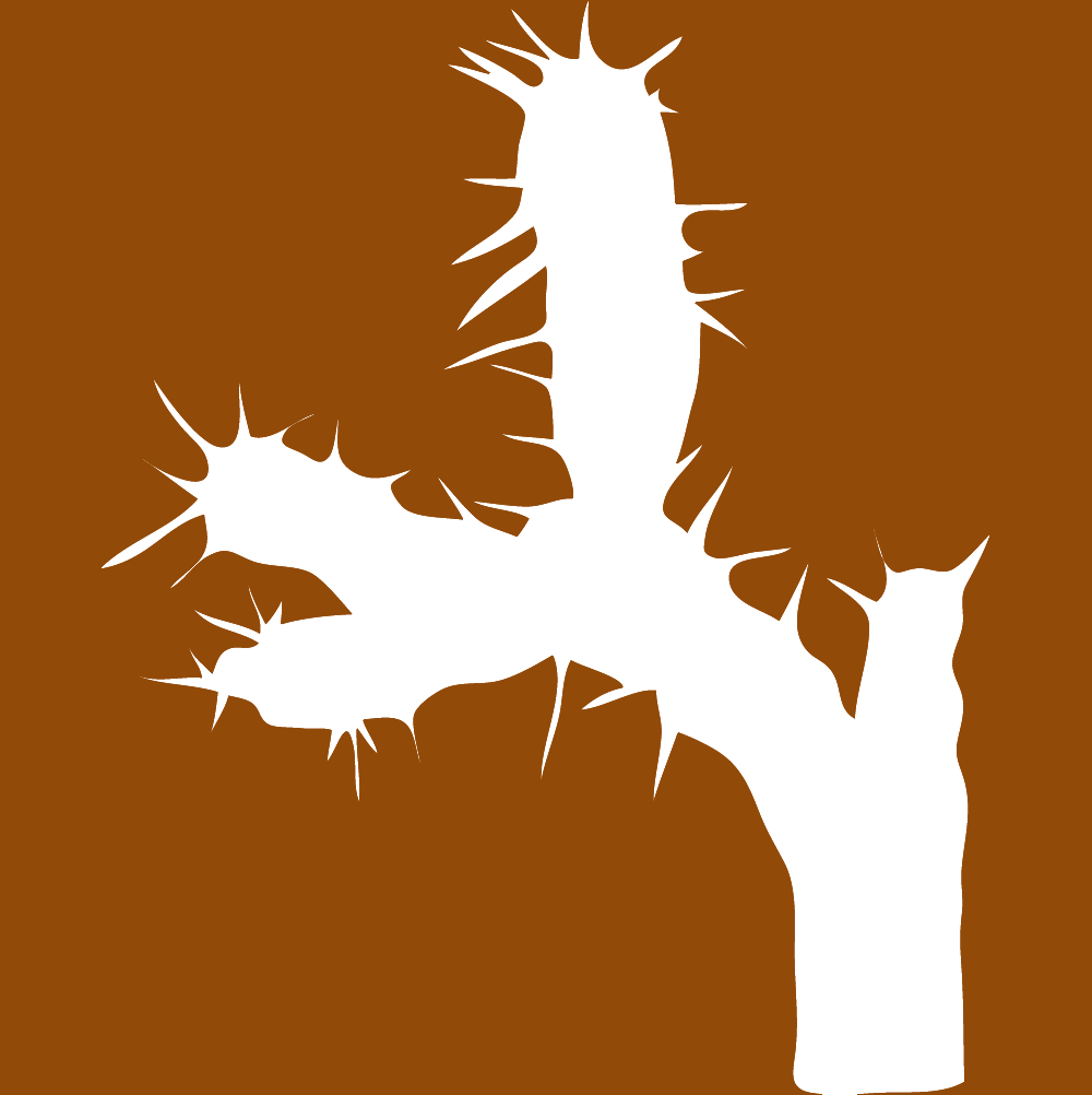Cholla illustration