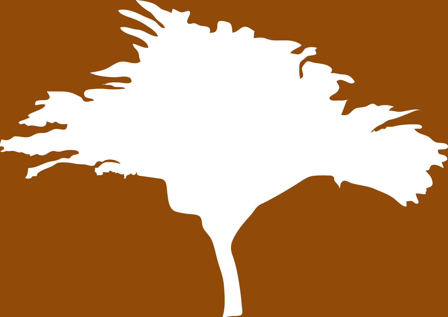 Mesquite illustration