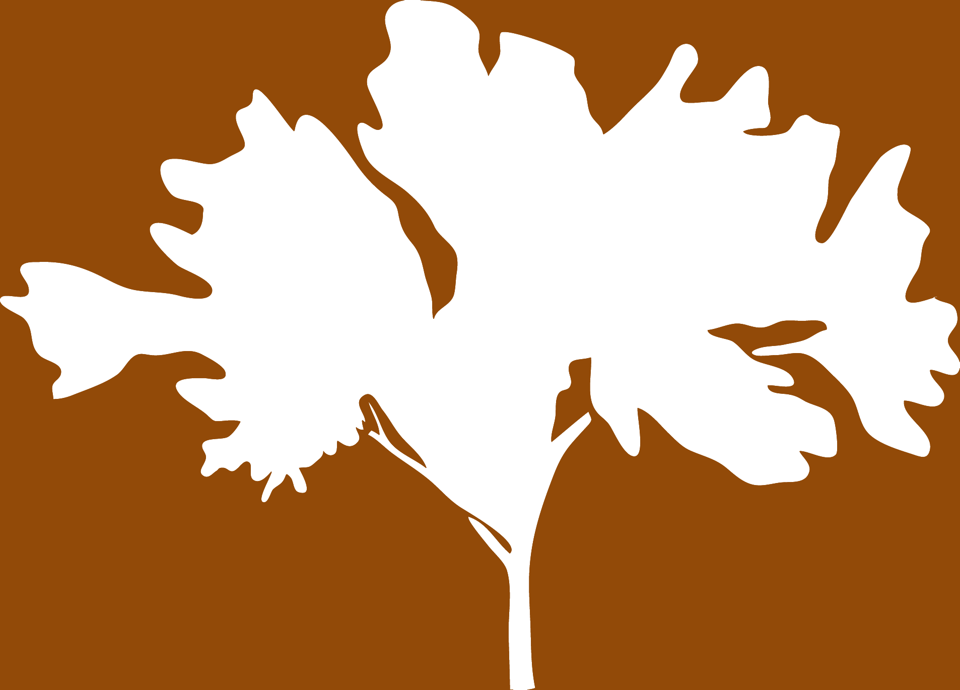 Palo verde illustration